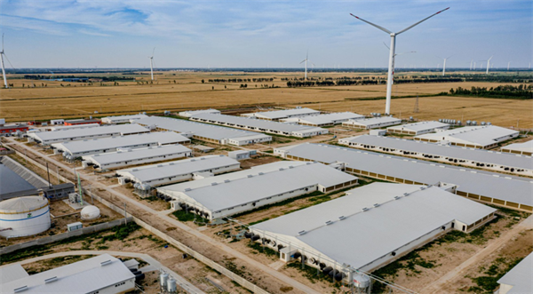 Animal husbandry(图2) Animal husbandry(图2)