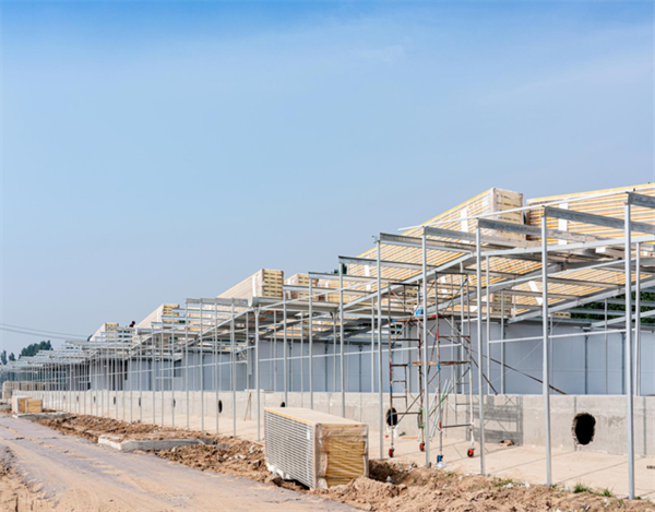 Animal husbandry(图3) Animal husbandry(图3)